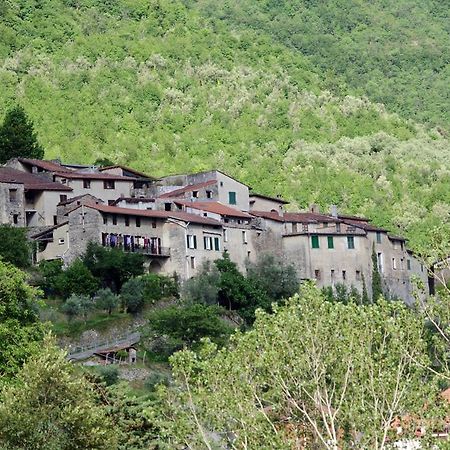 Agriturismo Mulino Del Castello Nasino Dış mekan fotoğraf